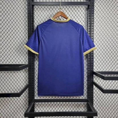 2024/2025 Japan Blue Dragon Special Edition Football Jersey